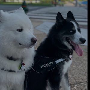 Meet your Posher, Jhonatan